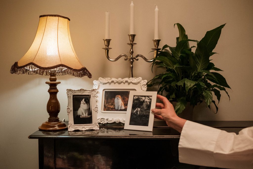 photo frames
